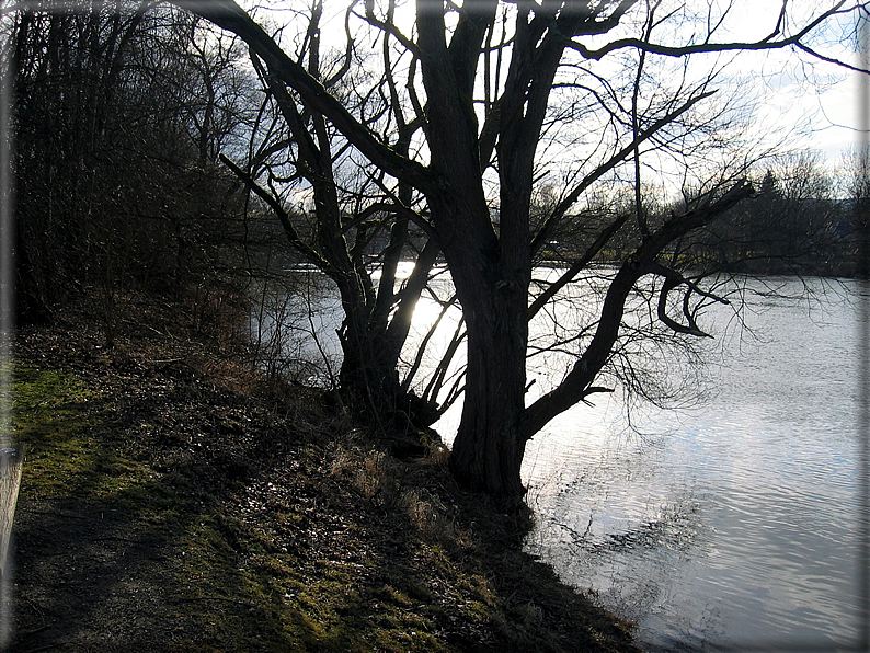 foto Lungo il fiume Fulda